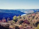 Land GREOUX-LES-BAINS ESPARRON-DE-VERDON