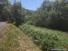 Annonce Vente Terrain Wisembach