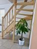 Acheter Appartement 136 m2 Golbey