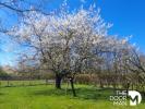Annonce Vente 9 pièces Maison Lacourt-saint-pierre