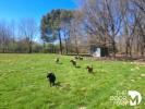 Acheter Maison 162 m2 Lacourt-saint-pierre