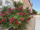 Apartment SAUSSET-LES-PINS 