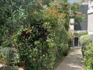 Vente Appartement Agde 34300 2 pieces 43 m2