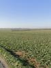 Annonce Vente Terrain Angliers