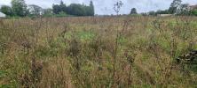 Annonce Vente Terrain