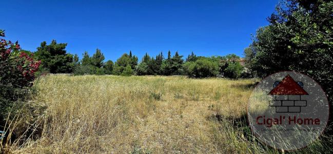 photo For sale Land PALME 11
