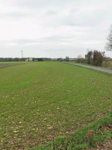 photo For sale Land SAINTE-SOULLE 17