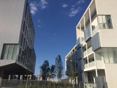 photo For rent Apartment LORMONT 33