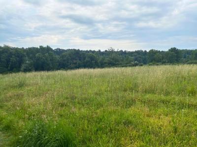 Vente Terrain ROMANS-SUR-ISERE 26100