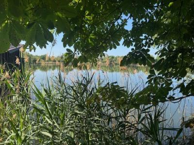 Vente Terrain CROUY 02880
