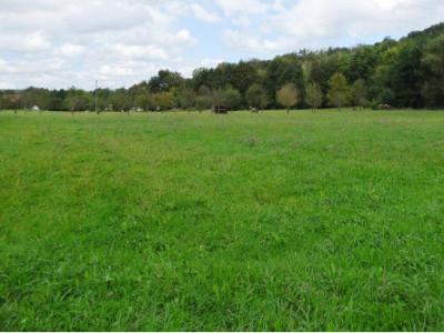 photo For sale House RODEREN 68