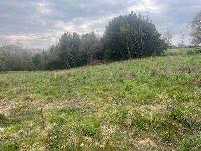 photo For sale Land CAMBES 33