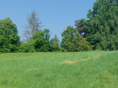 Vente Maison SAINT-ALBAN-D'AY 