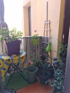 Vente Appartement 2 pièces CERET 66400