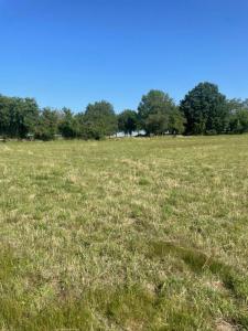 Vente Terrain SAINT-REMY-LES-CHEVREUSE 78470