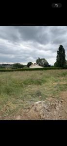 Vente Terrain OUDON 44521