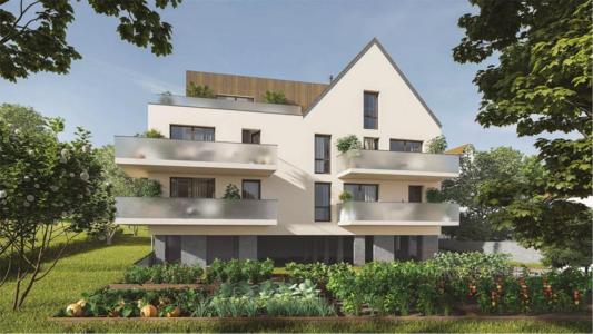 Location Appartement LAMPERTHEIM 67450