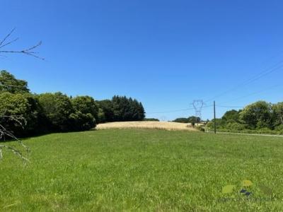 For sale House SAINT-SALVADOUR 