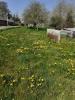 Acheter Maison Saint-pierre-des-landes 88366 euros