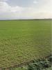 Vente Terrain Saint-ouen-d'aunis 17