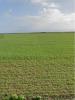 Acheter Terrain 572 m2 Saint-ouen-d'aunis