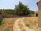 Annonce Vente 5 pièces Maison Ille-sur-tet