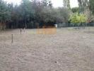 Land LIGNAN-SUR-ORB 