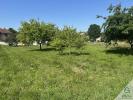 Vente Terrain Chalamont 01