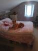 Acheter Maison 75 m2