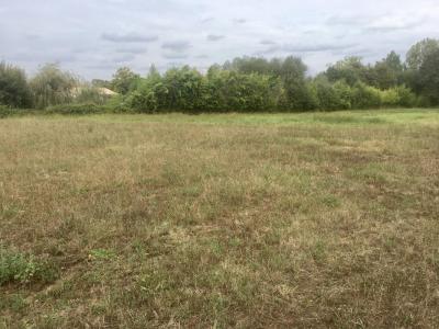 Vente Terrain GAURIAGUET 33240