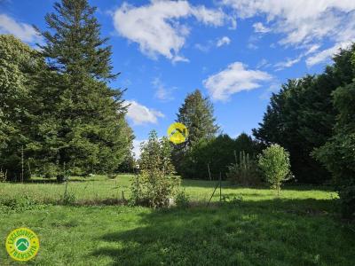 Vente Maison OUROUER-LES-BOURDELINS 