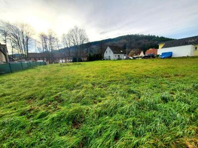 photo For sale Land SCHIRMECK 67