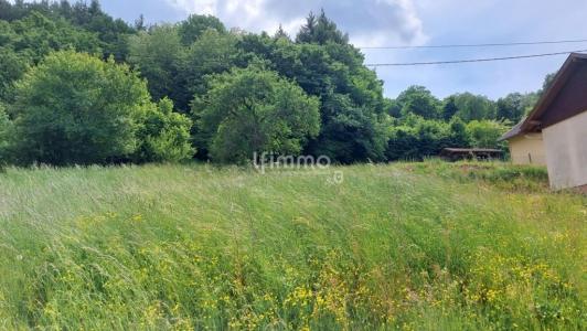 photo For sale Land RUSS 67