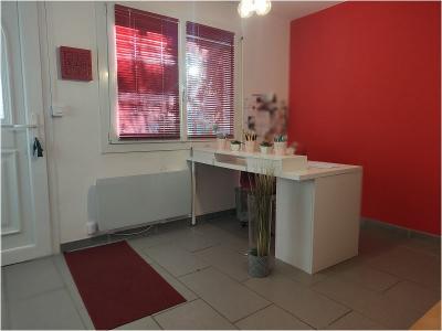 For rent House VILLENEUVE-TOLOSANE 