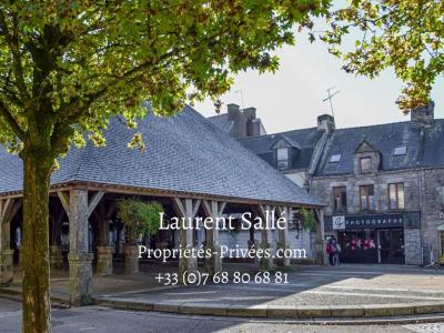 photo For sale Apartment building QUESTEMBERT 56