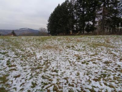 Vente Terrain SANSSAC-L'EGLISE 43320