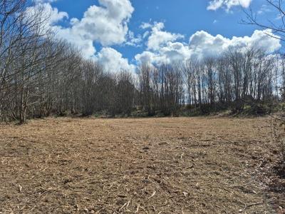 photo For sale Land CHAPELLE-AUBAREIL 24