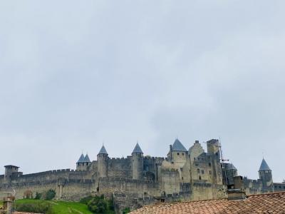 photo For sale House CARCASSONNE 11