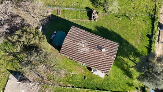 For sale House ALERIA 