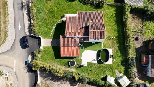 photo For sale House PRUNELLI-DI-FIUMORBO 20