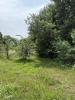 Vente Terrain Billaux 33