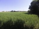 For sale Land Nachamps  17380 4397 m2