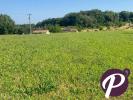 Annonce Vente Terrain Monsac