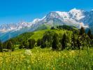 Annonce Vente Terrain Saint-offenge-dessous