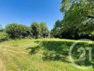Acheter Terrain Eyjeaux 97900 euros