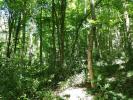 Vente Terrain Dampierre-en-yvelines 78