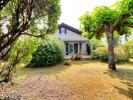 House LEGE-CAP-FERRET 