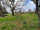 Vente Terrain Lalande-de-pomerol 33