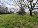 Annonce Vente Terrain Lalande-de-pomerol