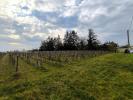 Acheter Terrain 890 m2 Lalande-de-pomerol